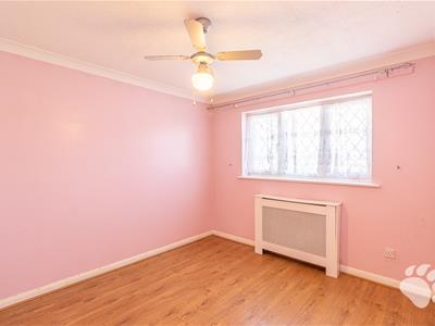 Picture 15